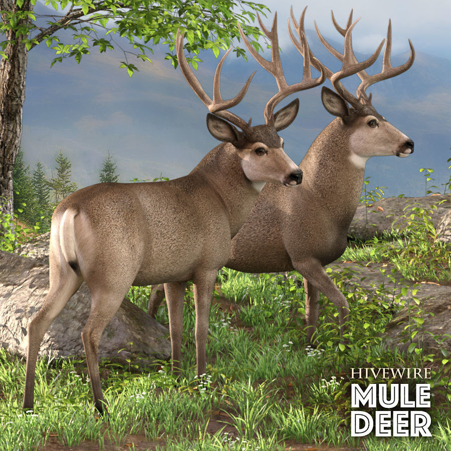 HiveWire Mule Deer Buck by N/A