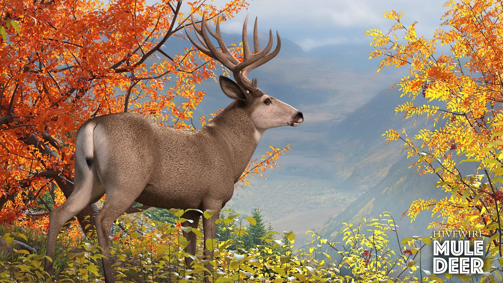 HiveWire Mule Deer Buck by N/A