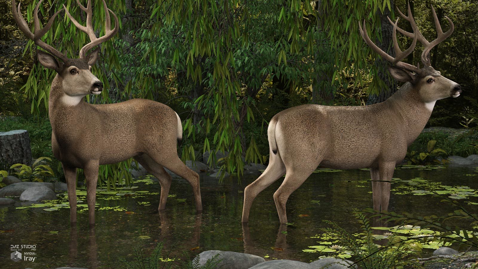 HiveWire Mule Deer Buck by N/A