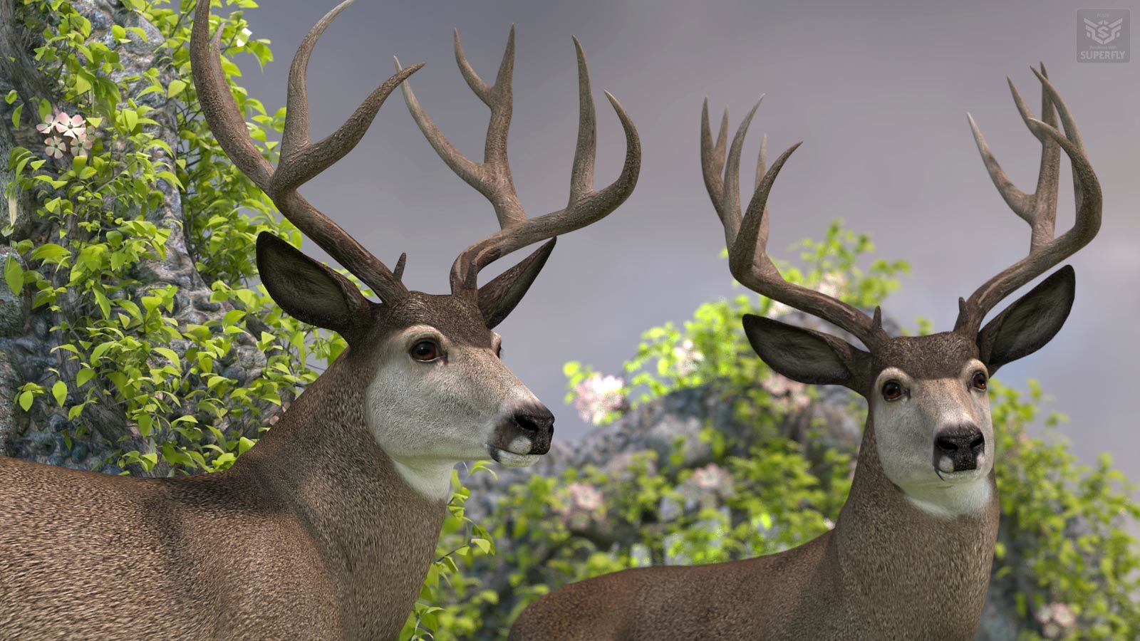 HiveWire Mule Deer Buck by N/A