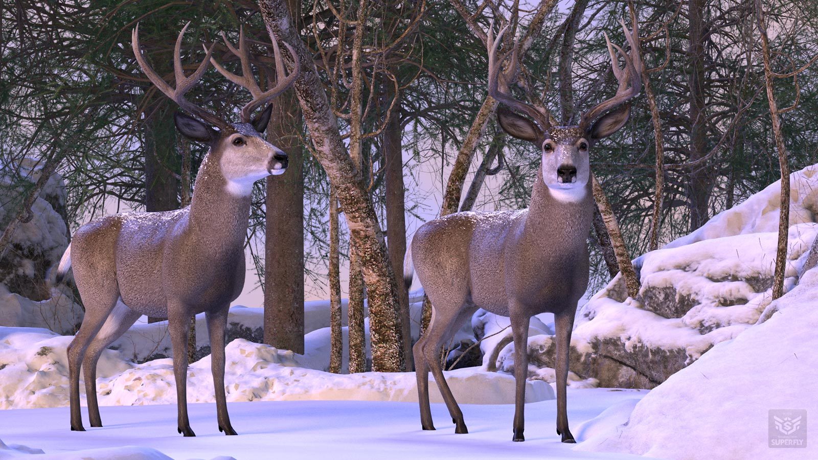 HiveWire Mule Deer Buck by N/A
