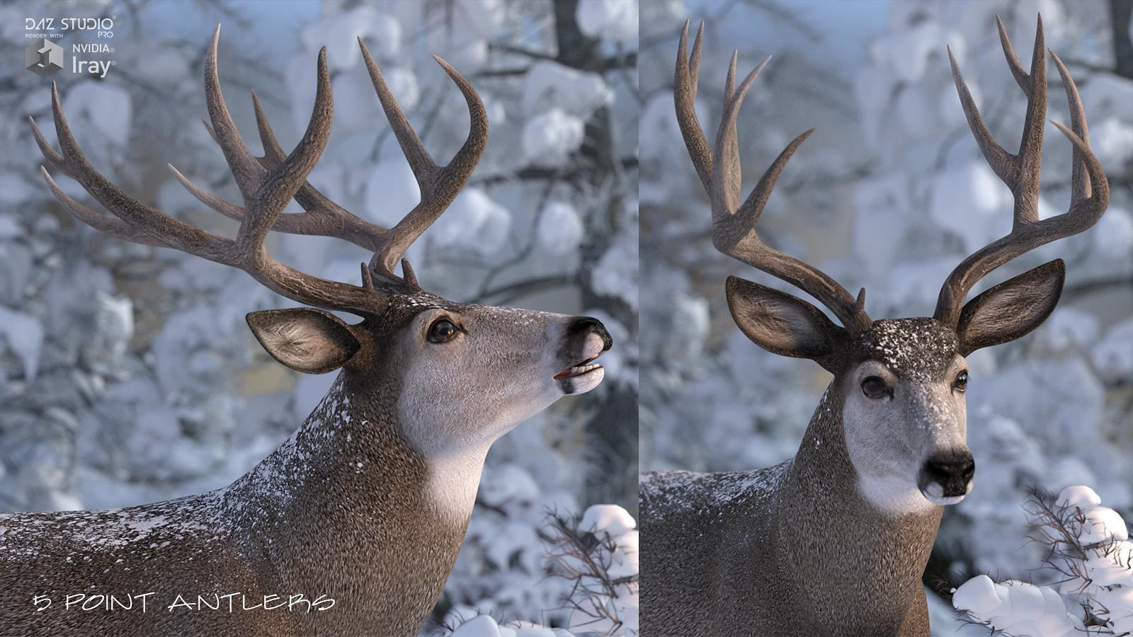 HiveWire Mule Deer Buck by N/A