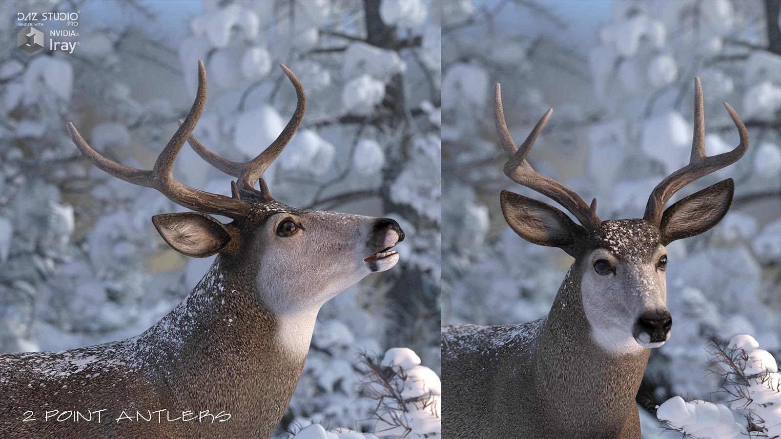 HiveWire Mule Deer Buck by N/A