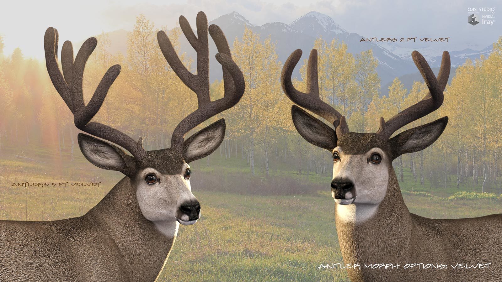 HiveWire Mule Deer Buck by N/A