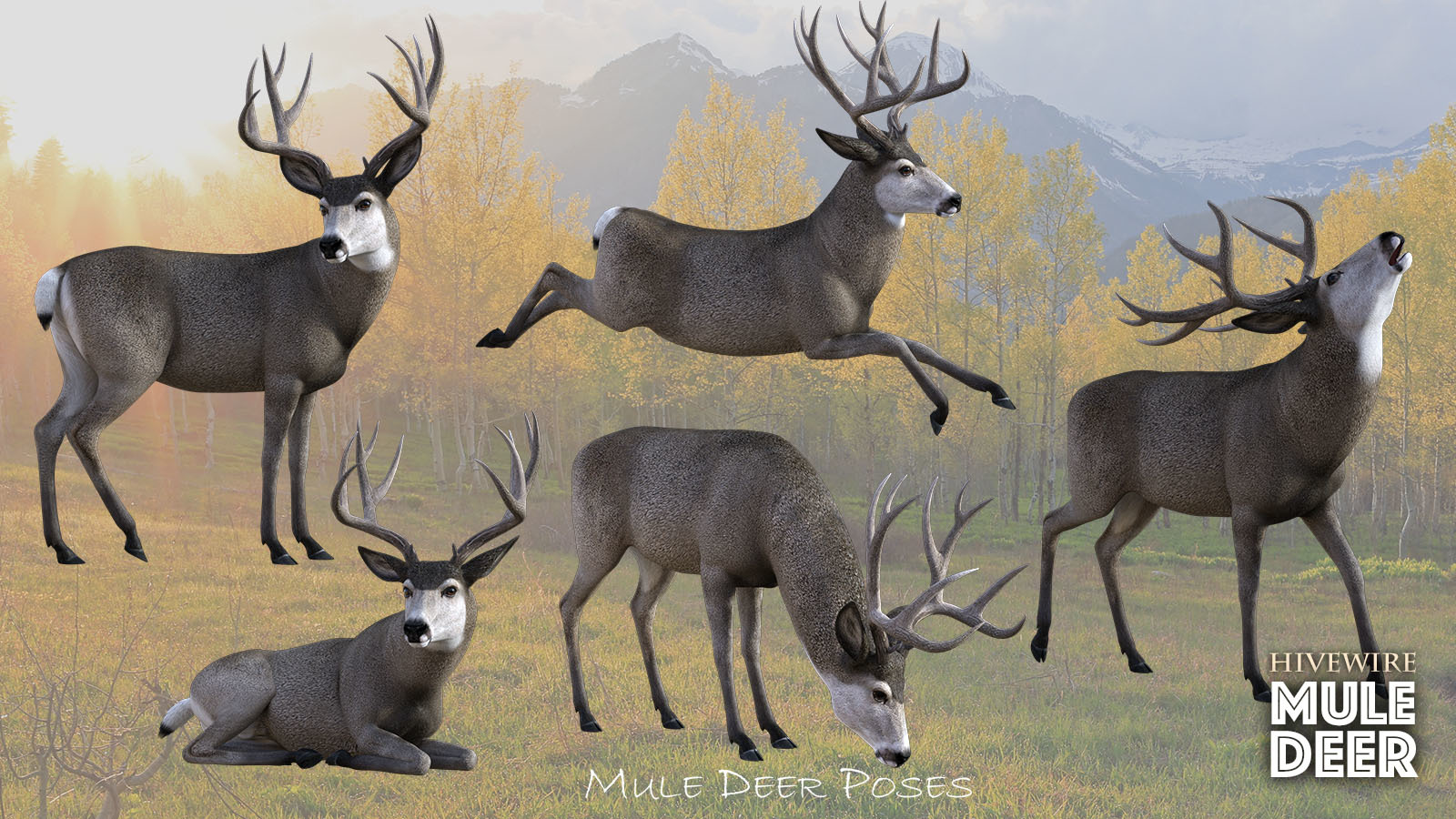 HiveWire Mule Deer Buck by N/A