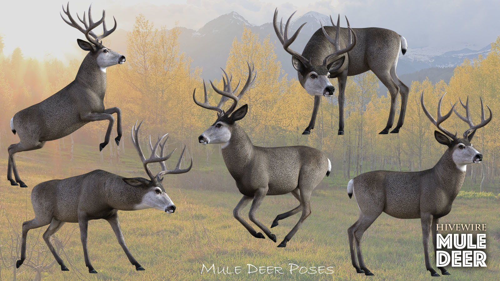 HiveWire Mule Deer Buck by N/A