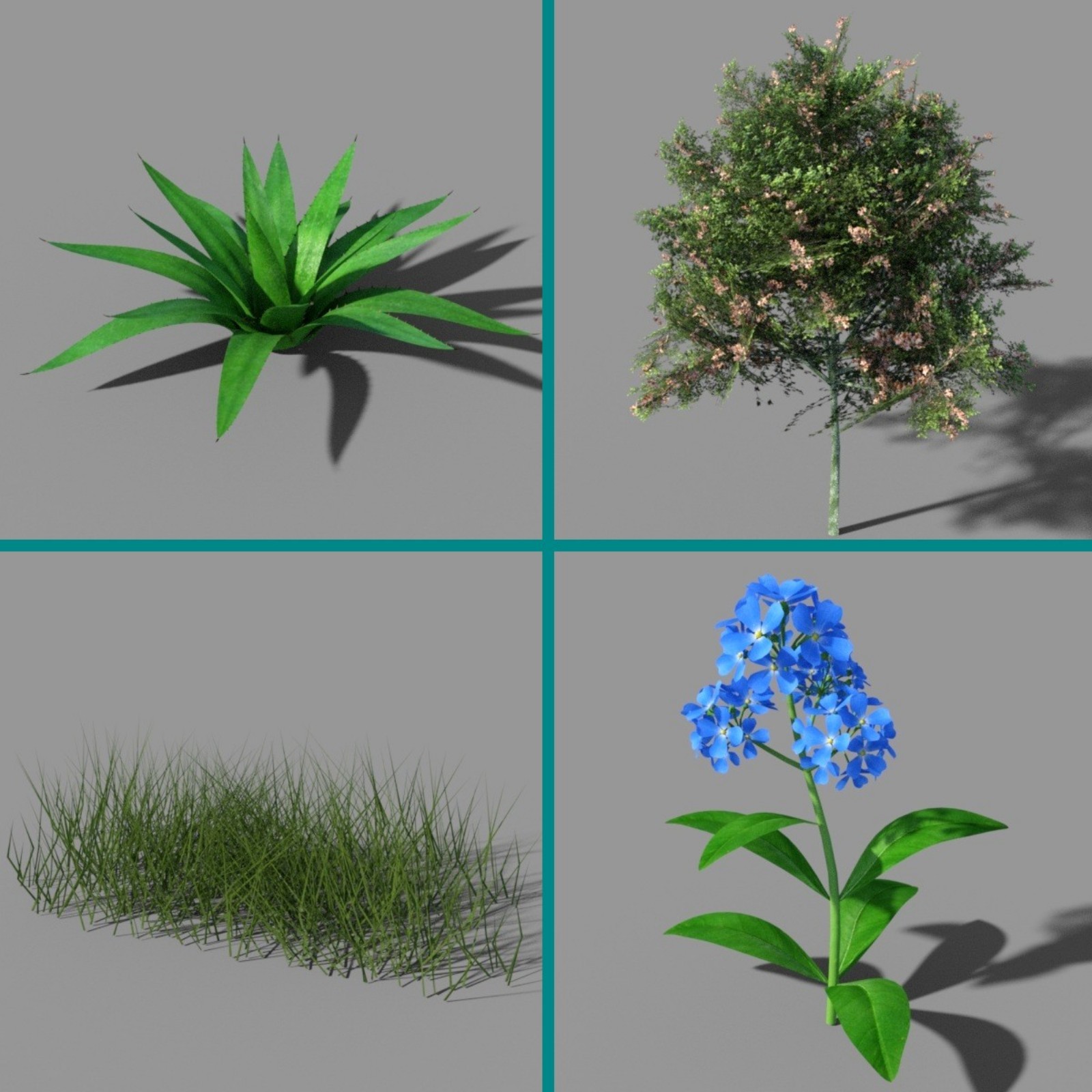 Nature Collection by N/A
