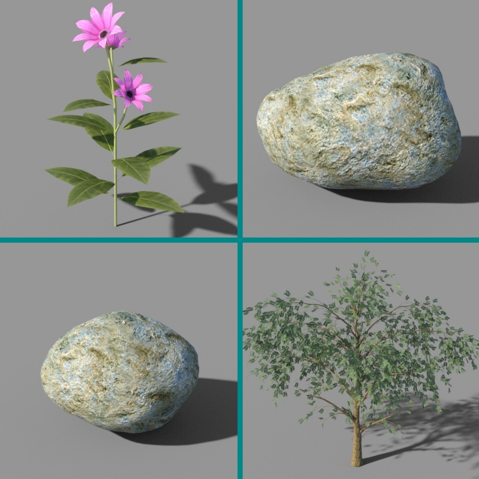Nature Collection by N/A