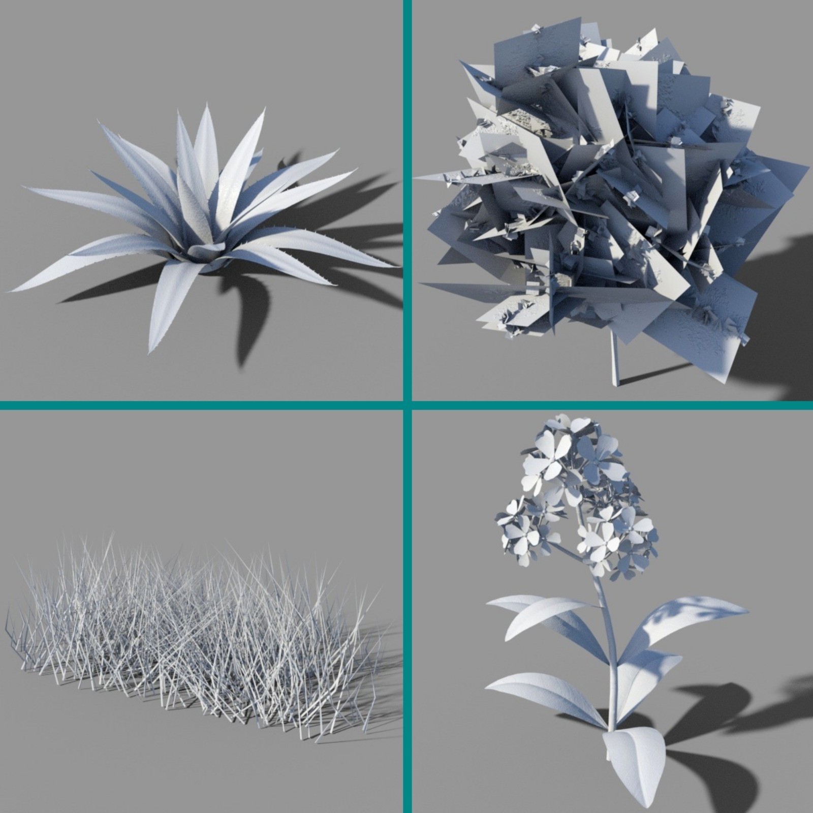 Nature Collection by N/A