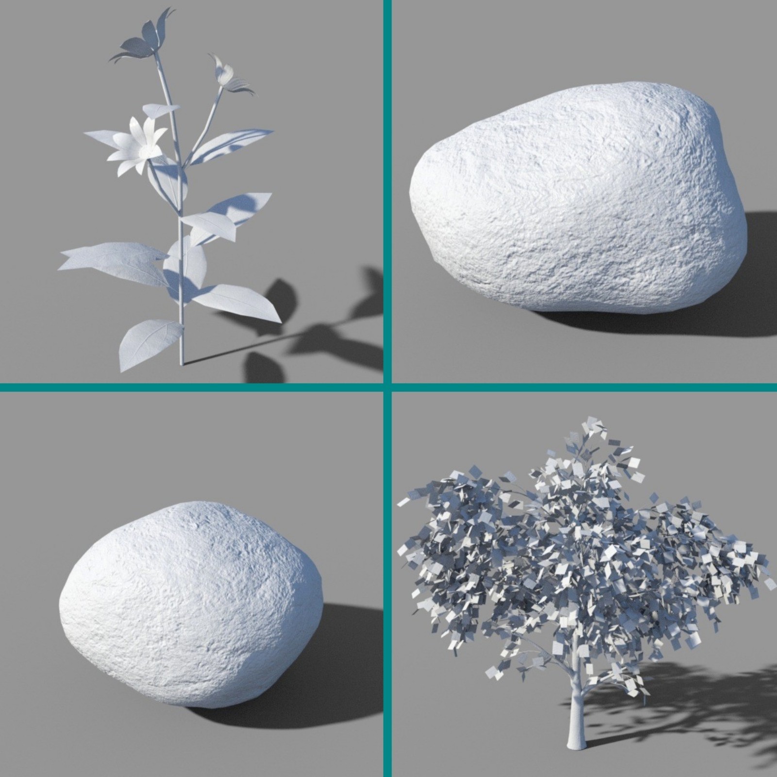 Nature Collection by N/A
