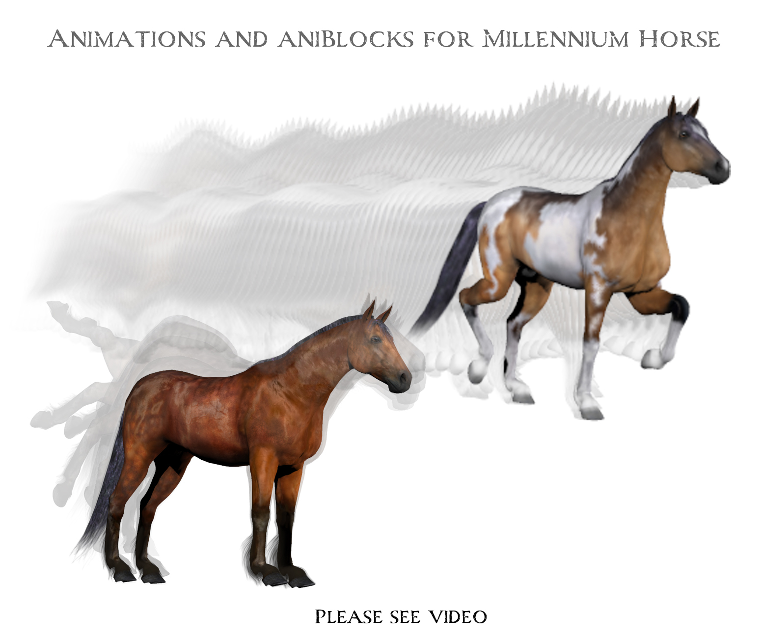 Animations for Millennium Horse - Poser and Daz Studio by N/A