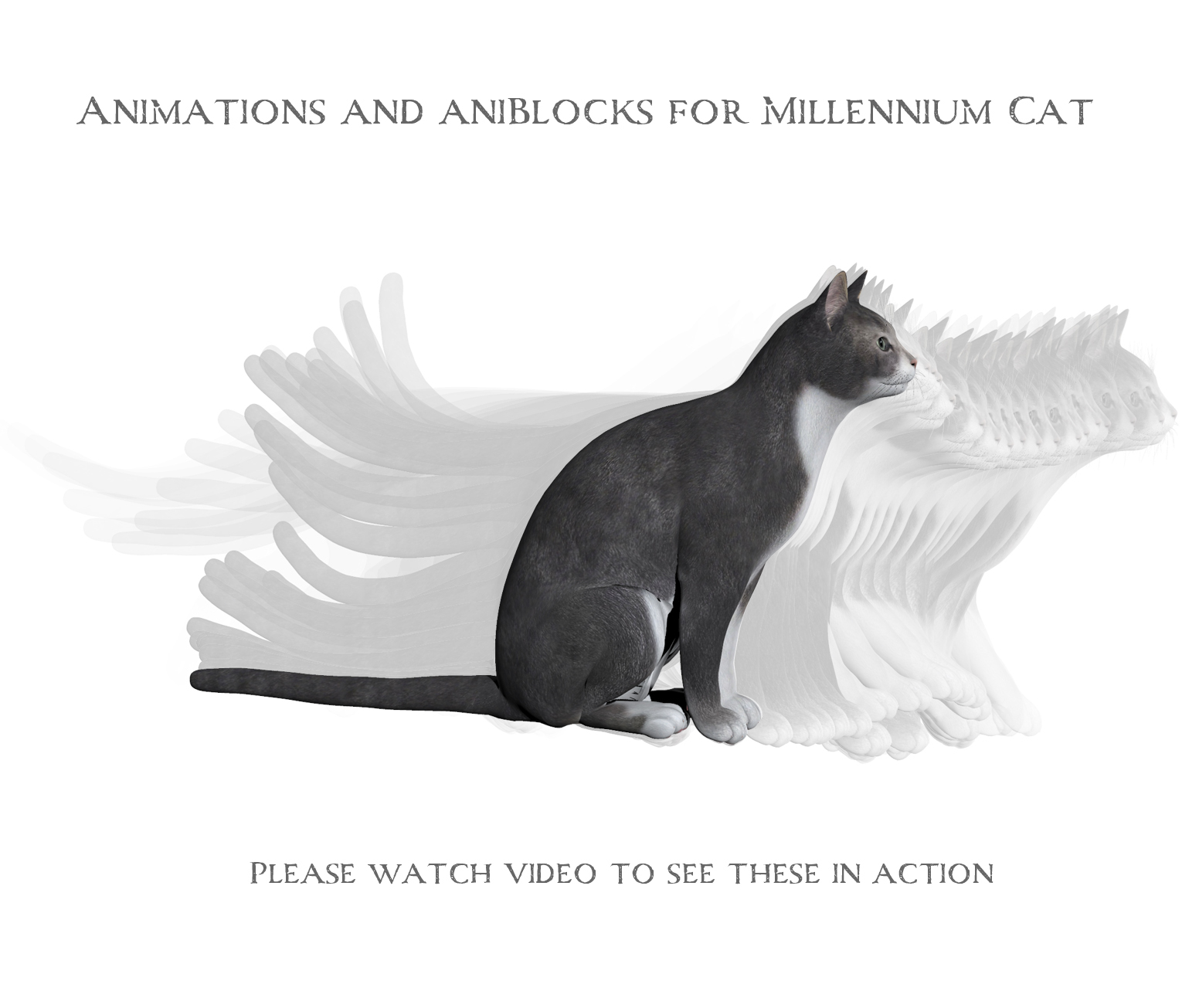 Animations for Millennium Cat - Poser and Daz Studio by N/A