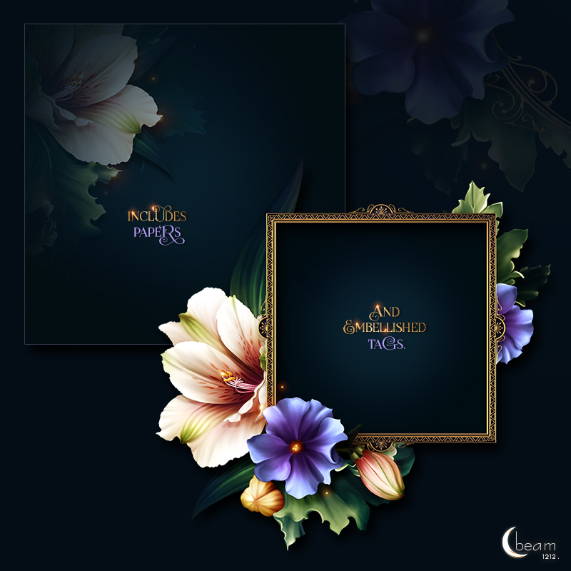 Moonbeam's Spring Blossoms by N/A