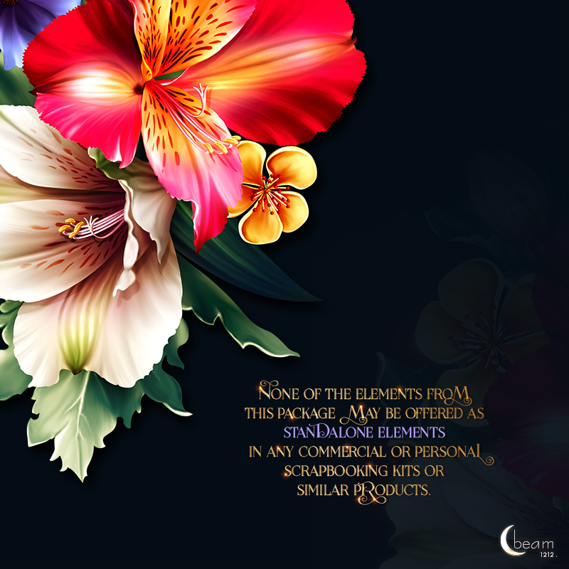 Moonbeam's Spring Blossoms by N/A