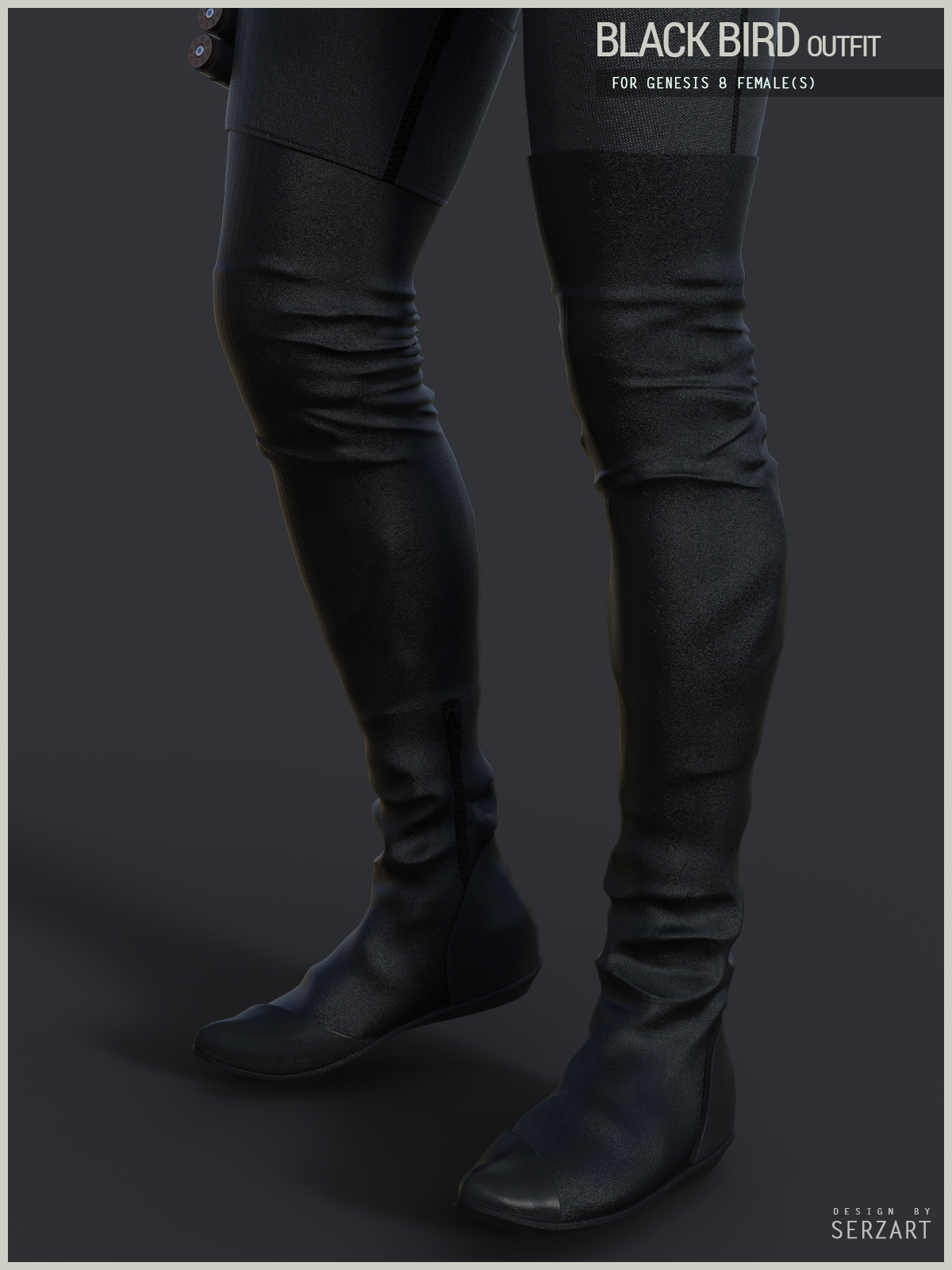 Black Bird Outfit for Genesis 8 Female by N/A