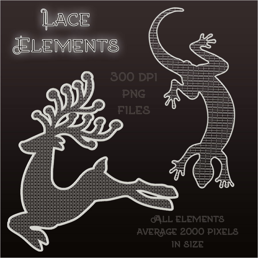 Lace Elements and More by N/A