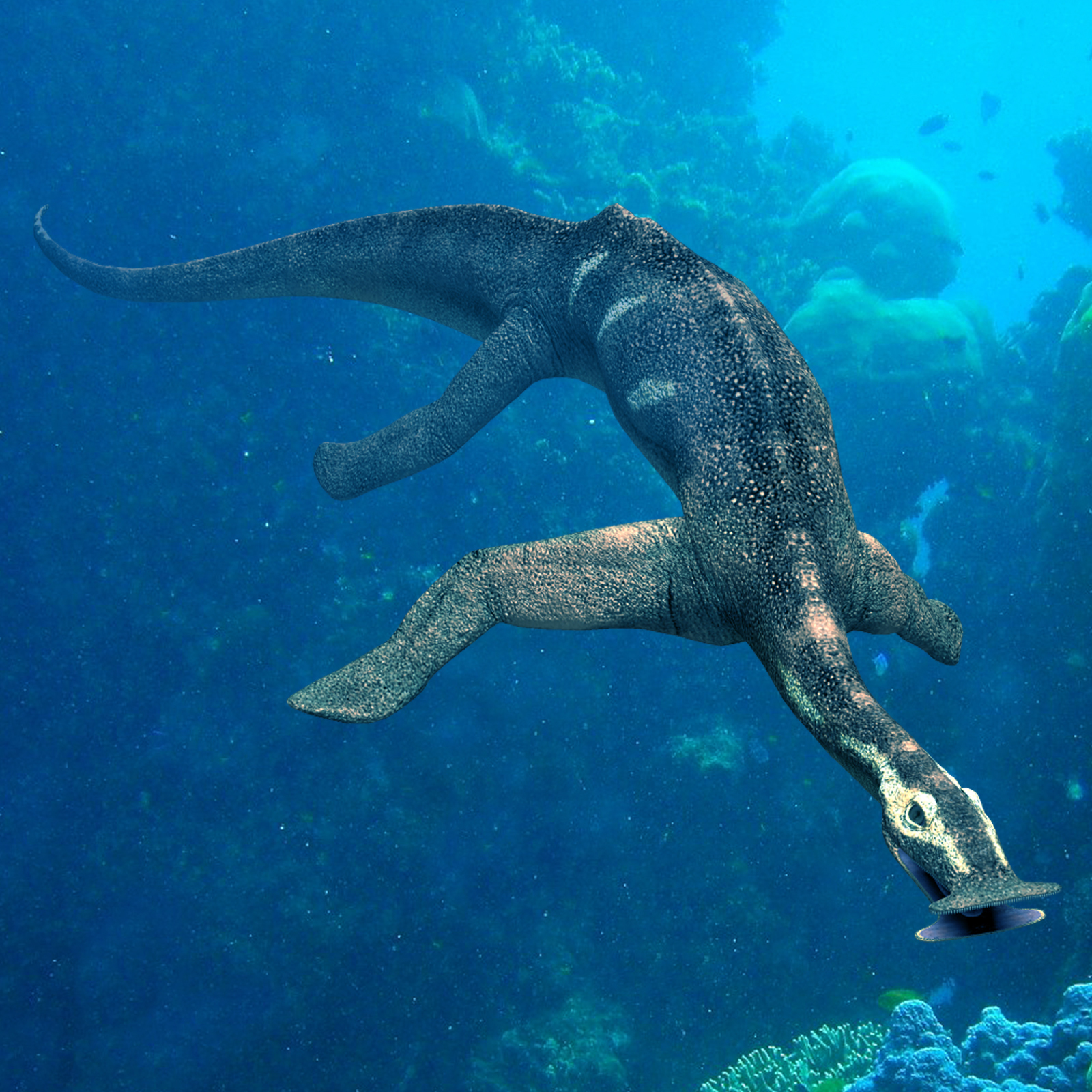 Atopodentatus DR by N/A