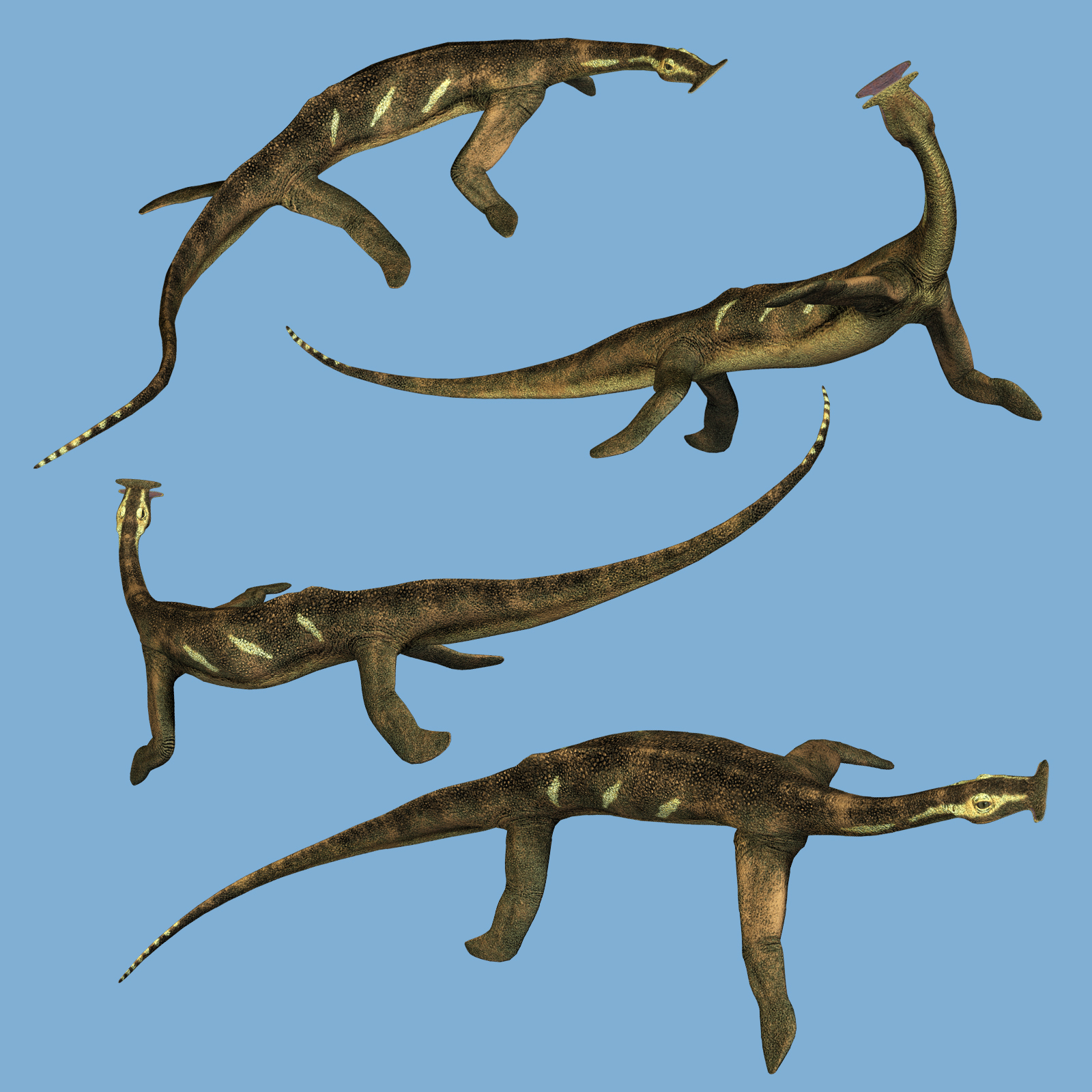 Atopodentatus DR by N/A
