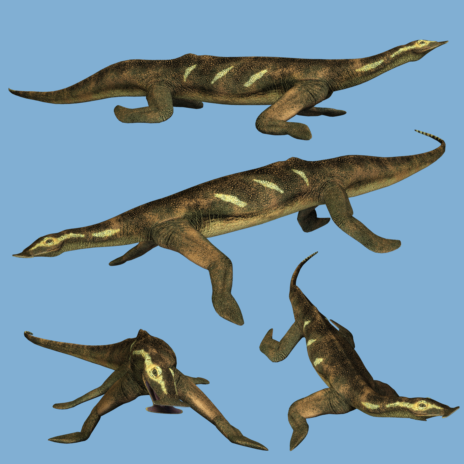 Atopodentatus DR by N/A