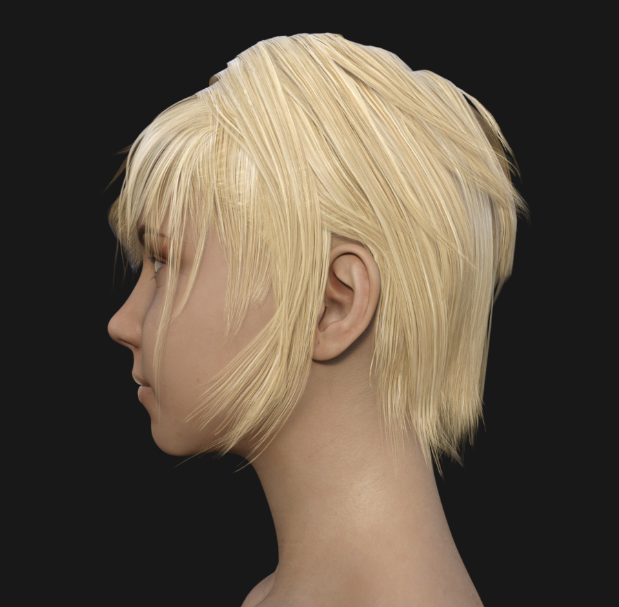 NS Hair for Genesis 8 Female by N/A