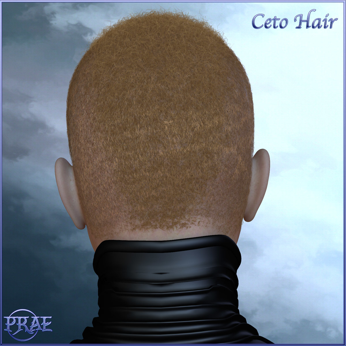 Prae-Ceto Hair For V4 M4 and La Femme by N/A