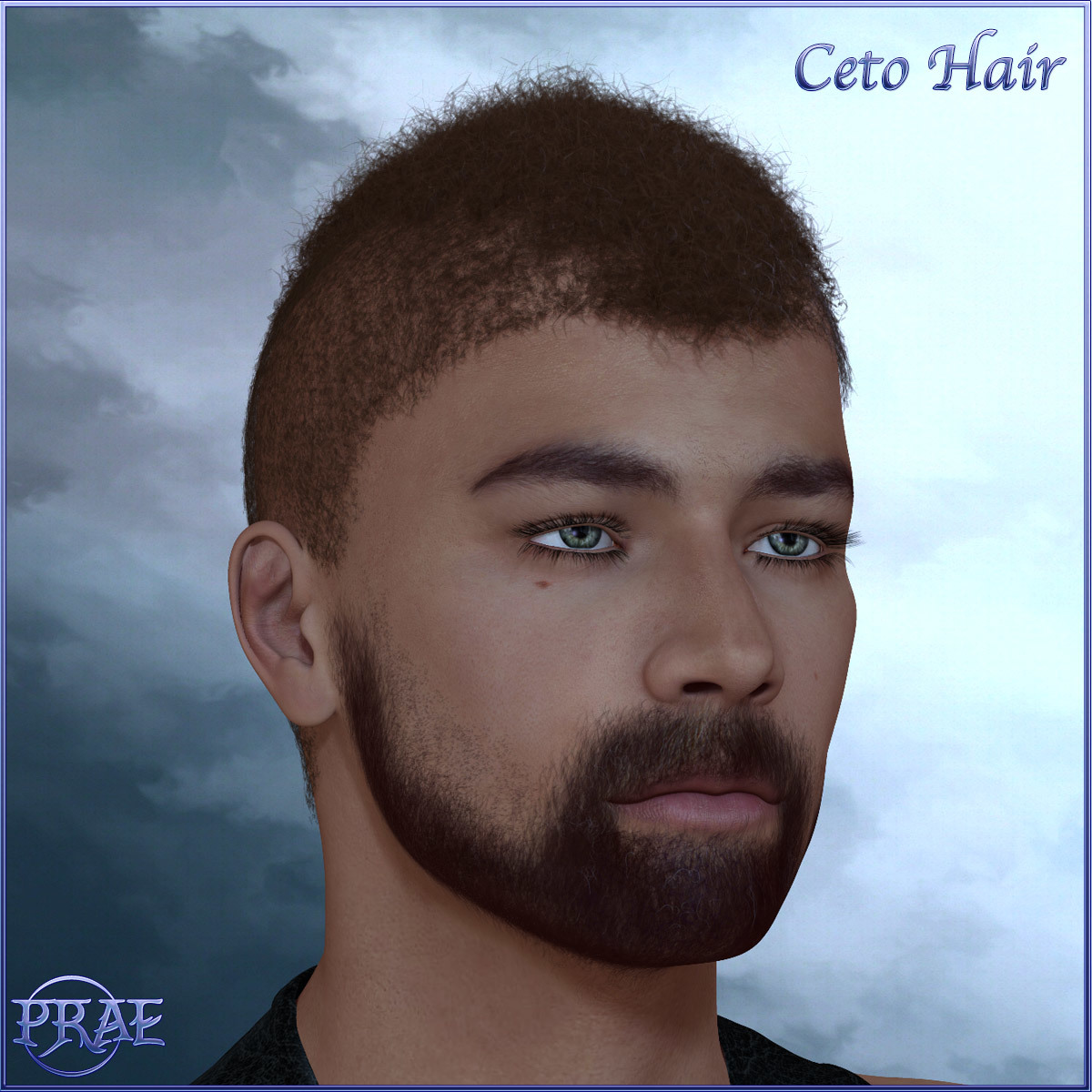 Prae-Ceto Hair For V4 M4 and La Femme by N/A