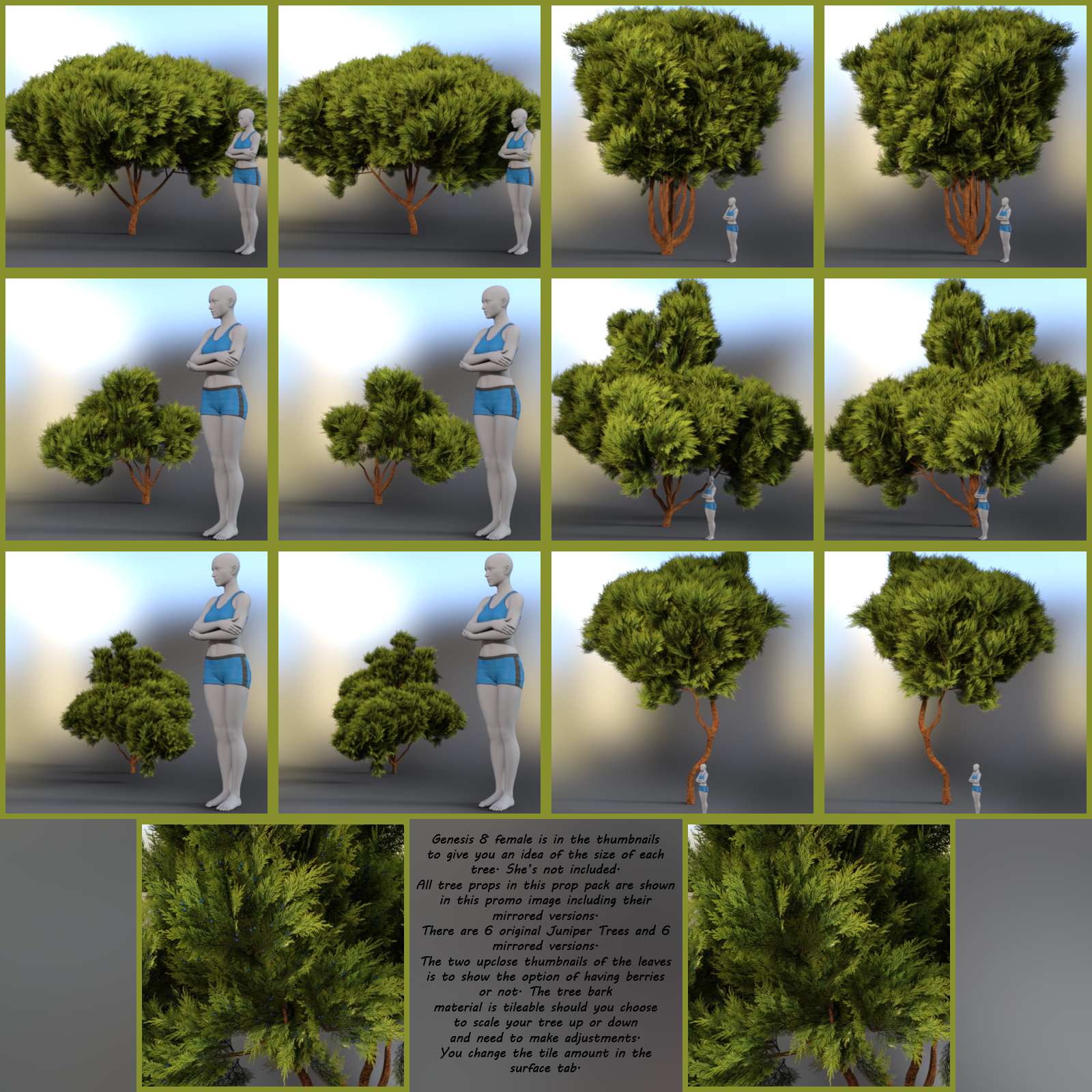 Juniper Tree Props And Mirrored Versions For Daz Studio Iray by N/A