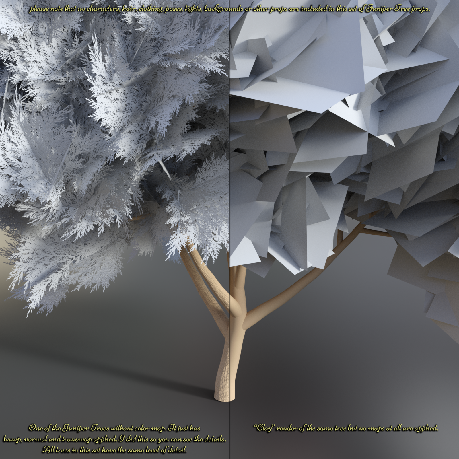 Juniper Tree Props And Mirrored Versions For Daz Studio Iray by N/A