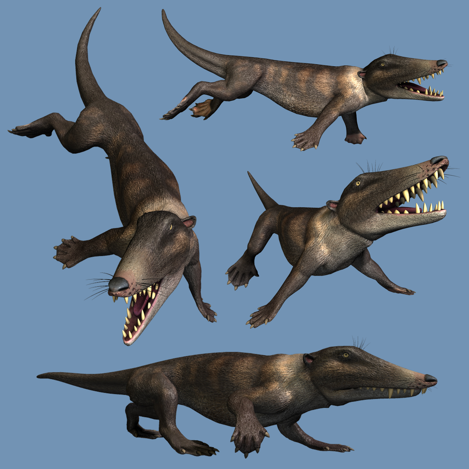 Abulocetus DR by N/A