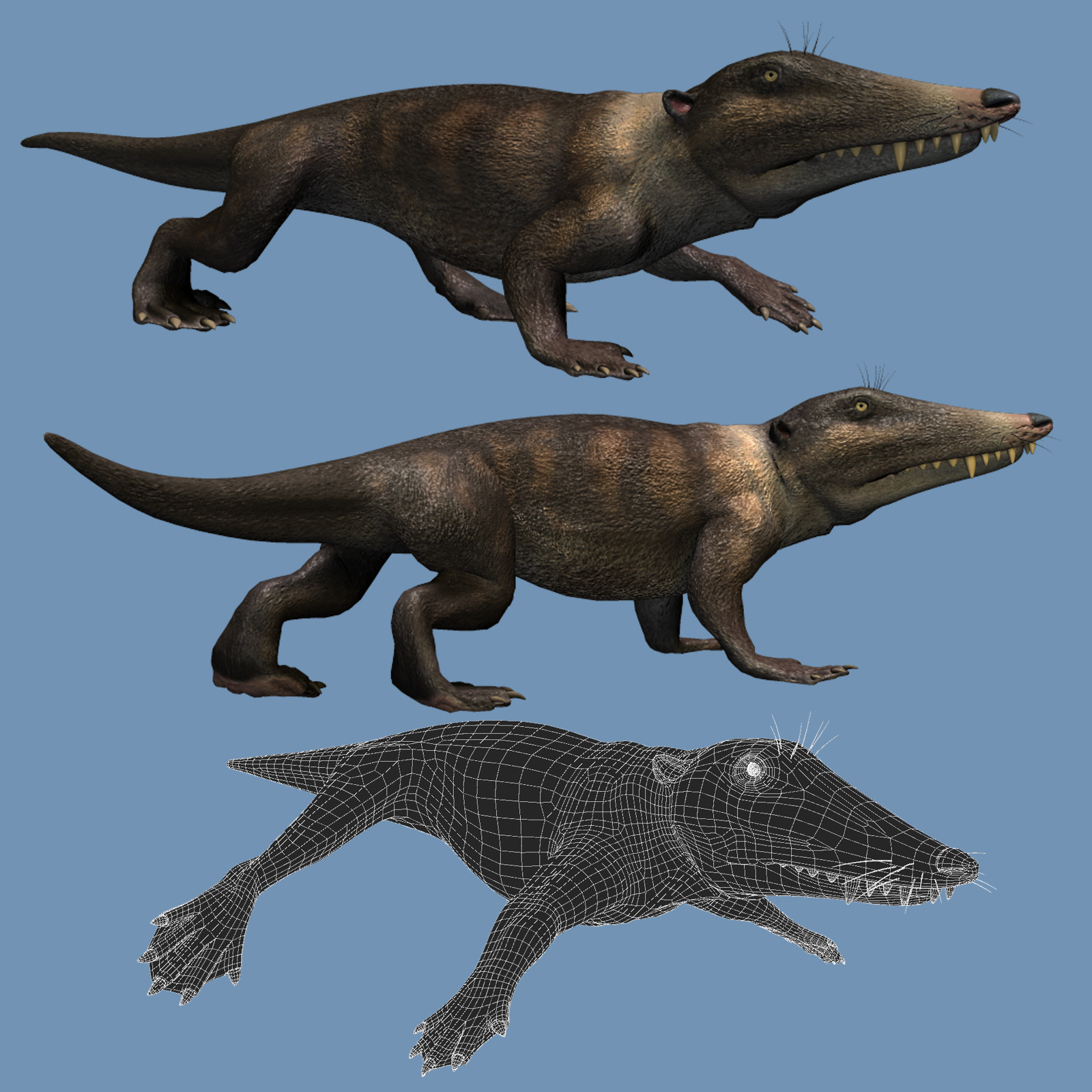Abulocetus DR by N/A