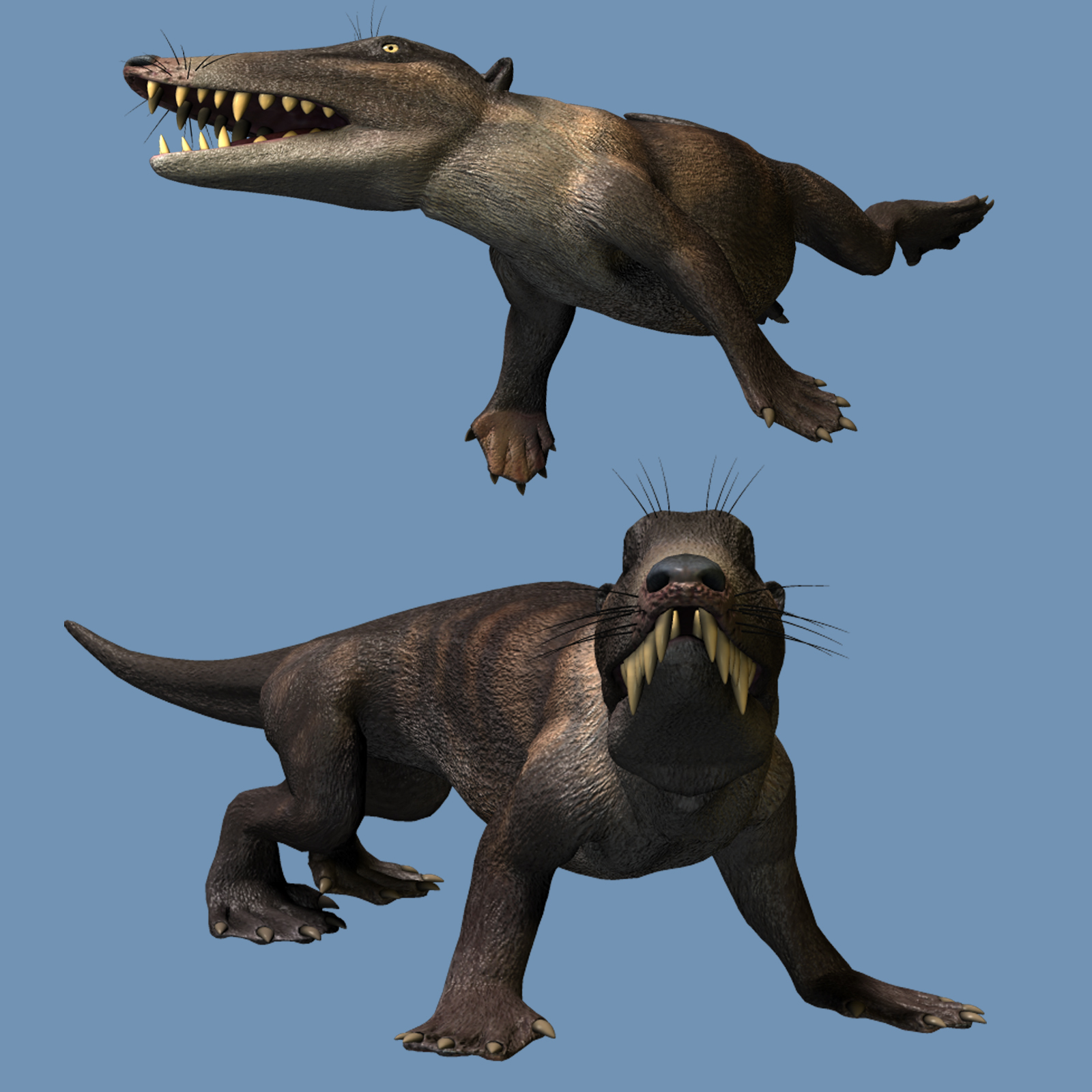 Abulocetus DR by N/A