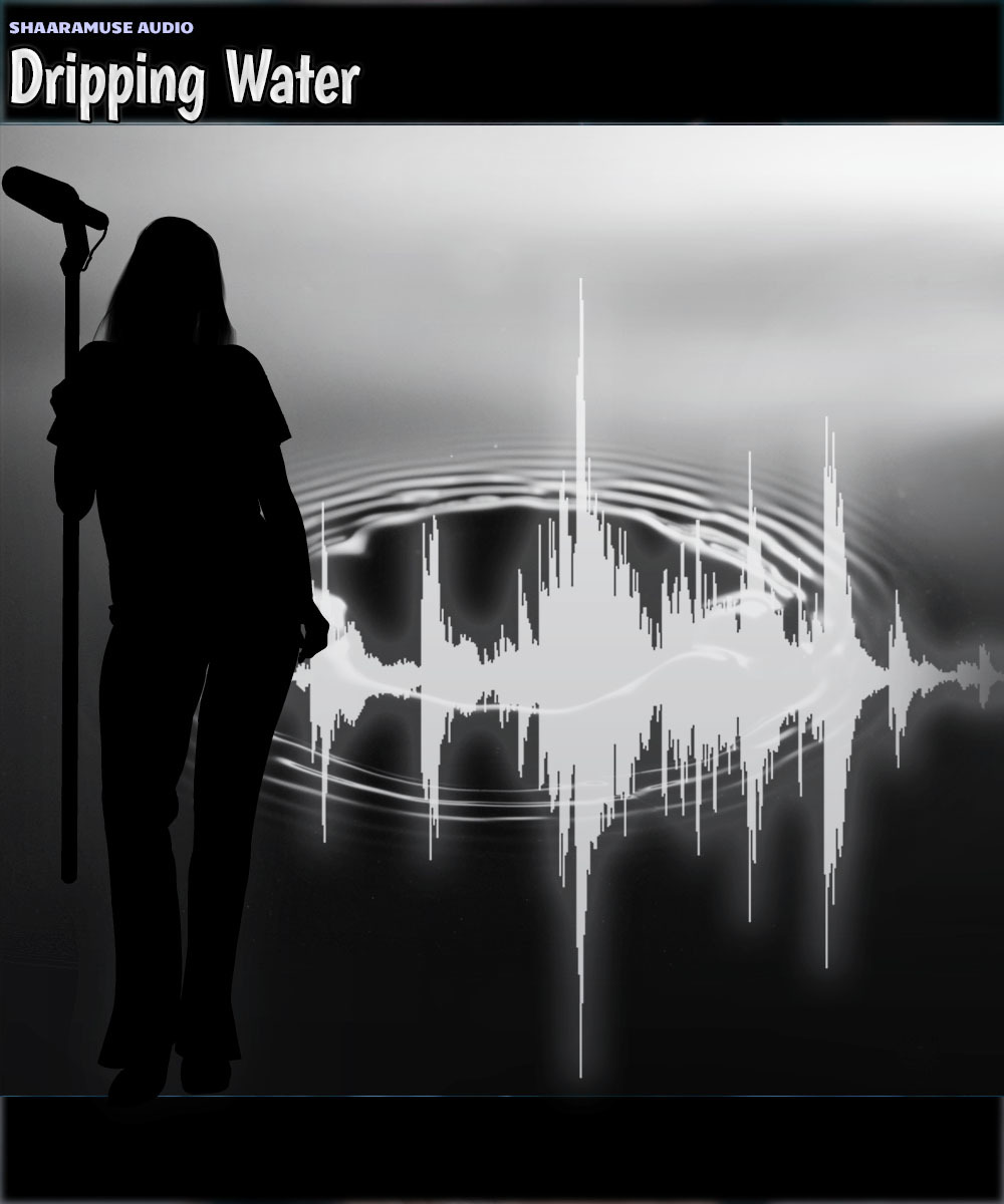 Shaaramuse Audio: Dripping Water by N/A