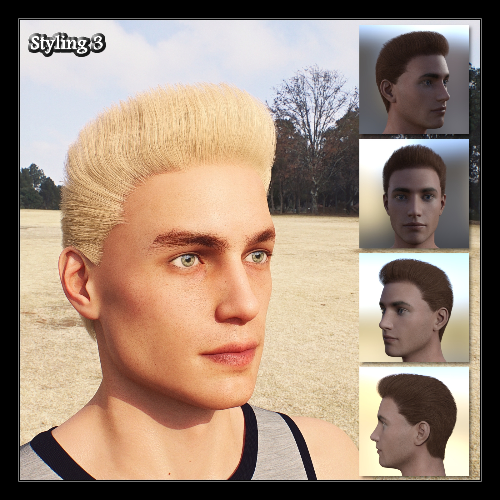 Four Stylings Hair For Genesis 8 Male by N/A