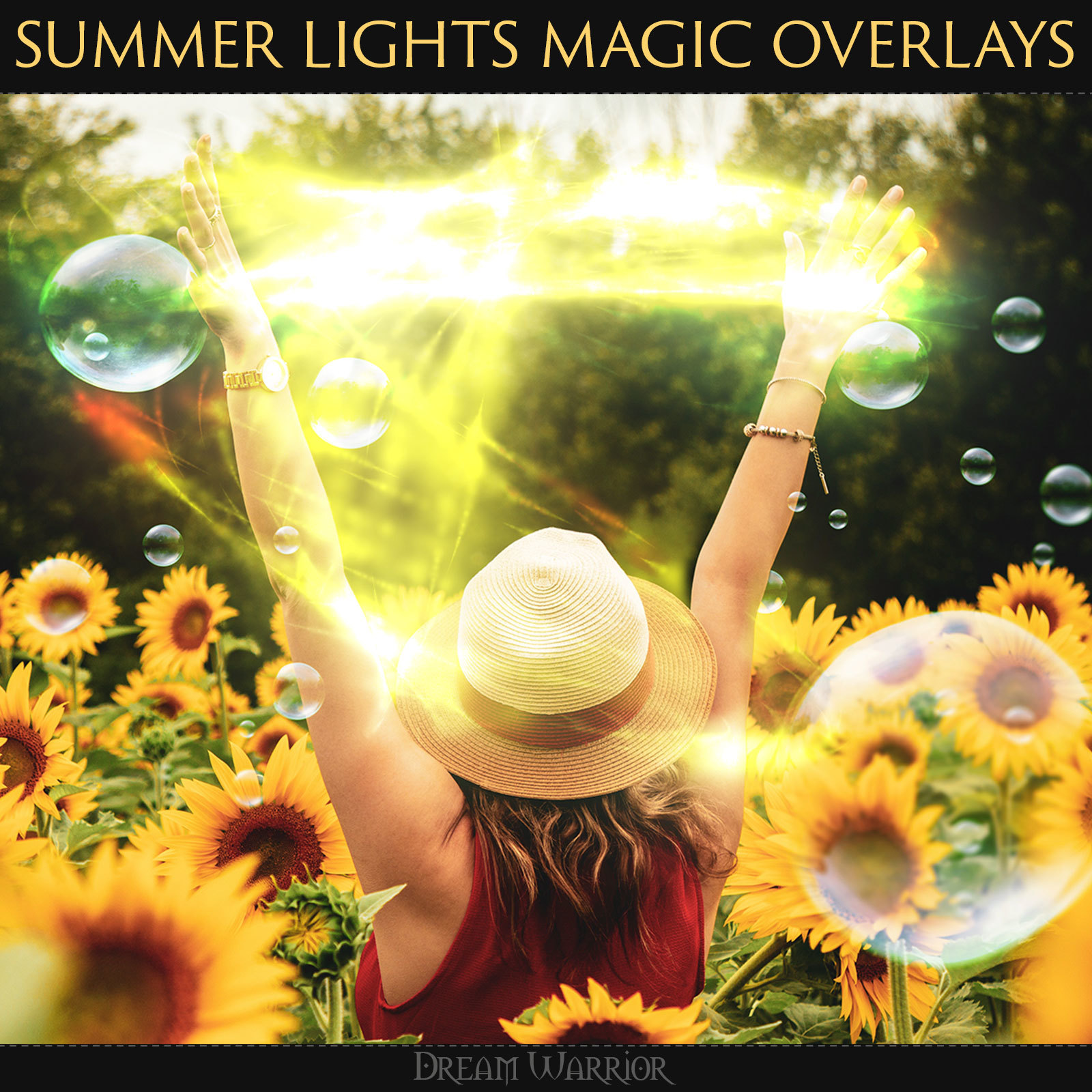 DW - Summer Lights Magic Overlays by N/A
