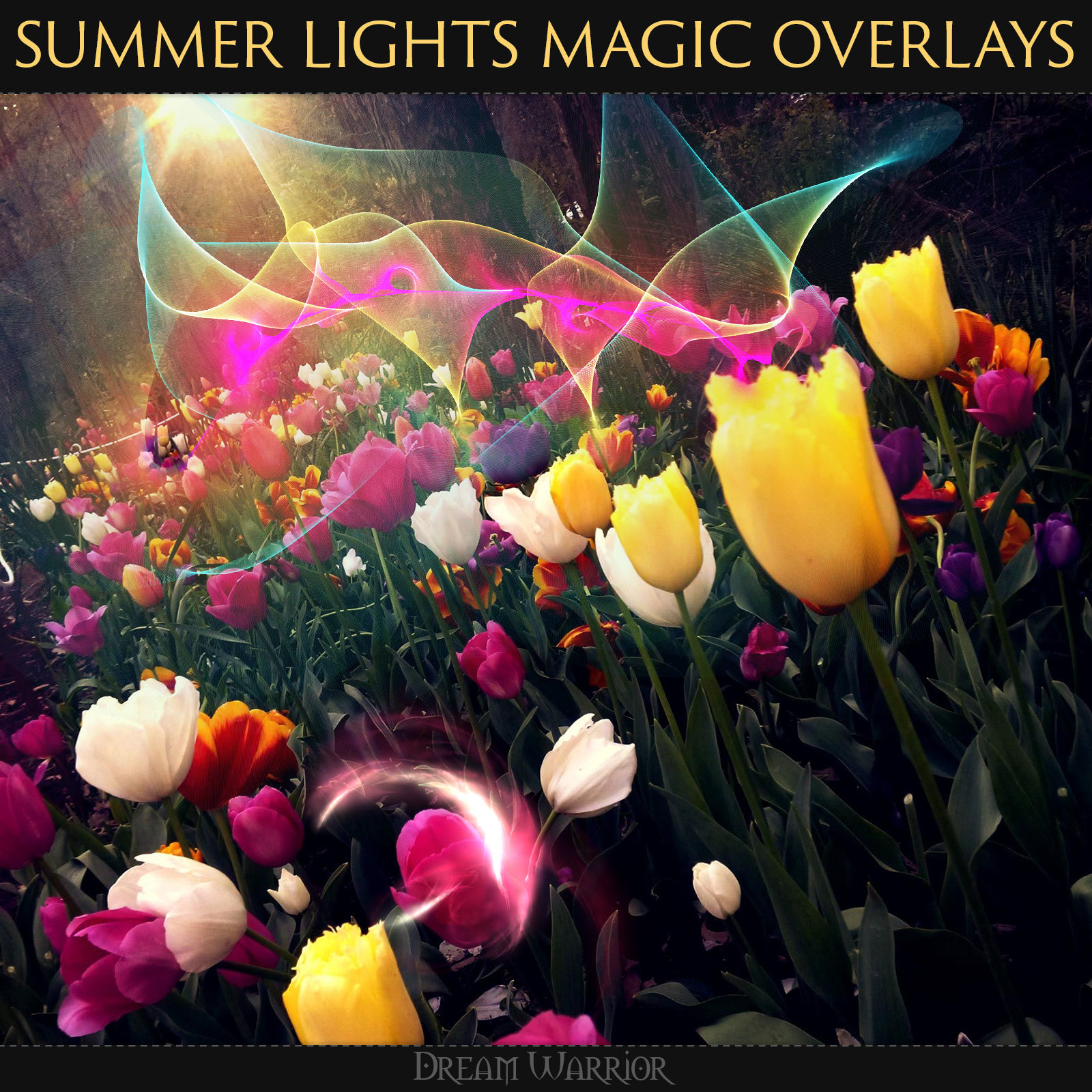DW - Summer Lights Magic Overlays by N/A