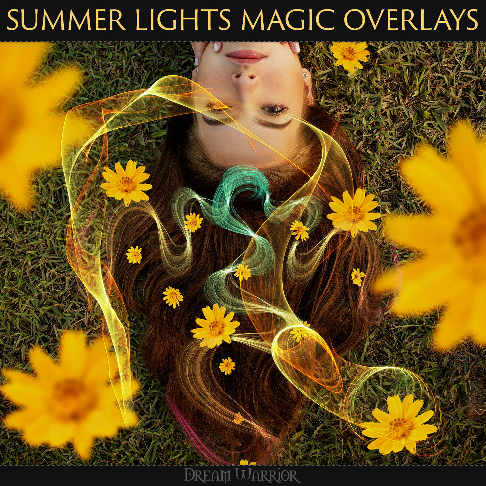 DW - Summer Lights Magic Overlays by N/A