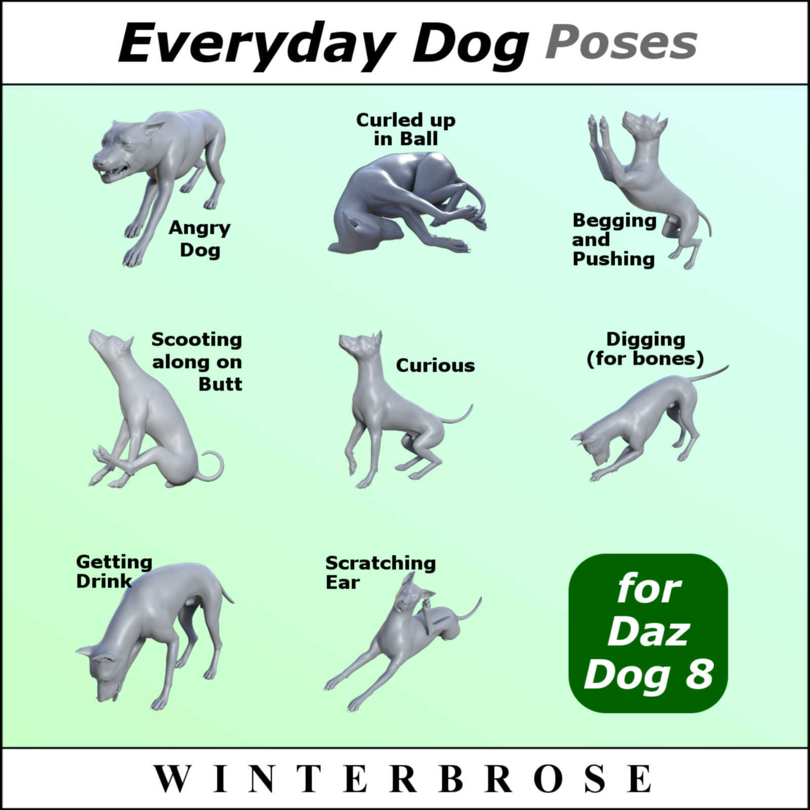 EVERYDAY DOG Poses for Daz Dog 8 in Daz Studio by N/A