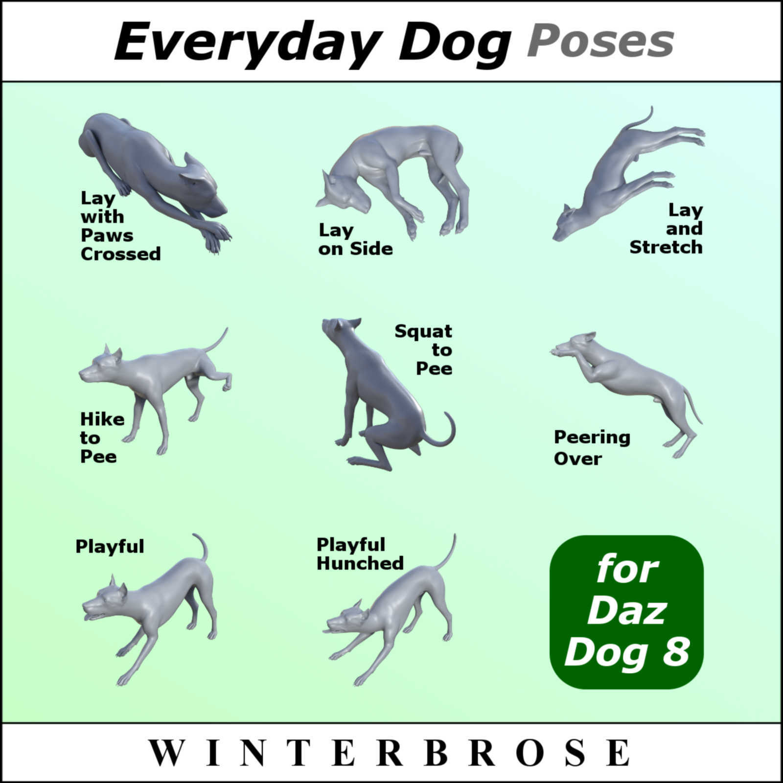 EVERYDAY DOG Poses for Daz Dog 8 in Daz Studio by N/A