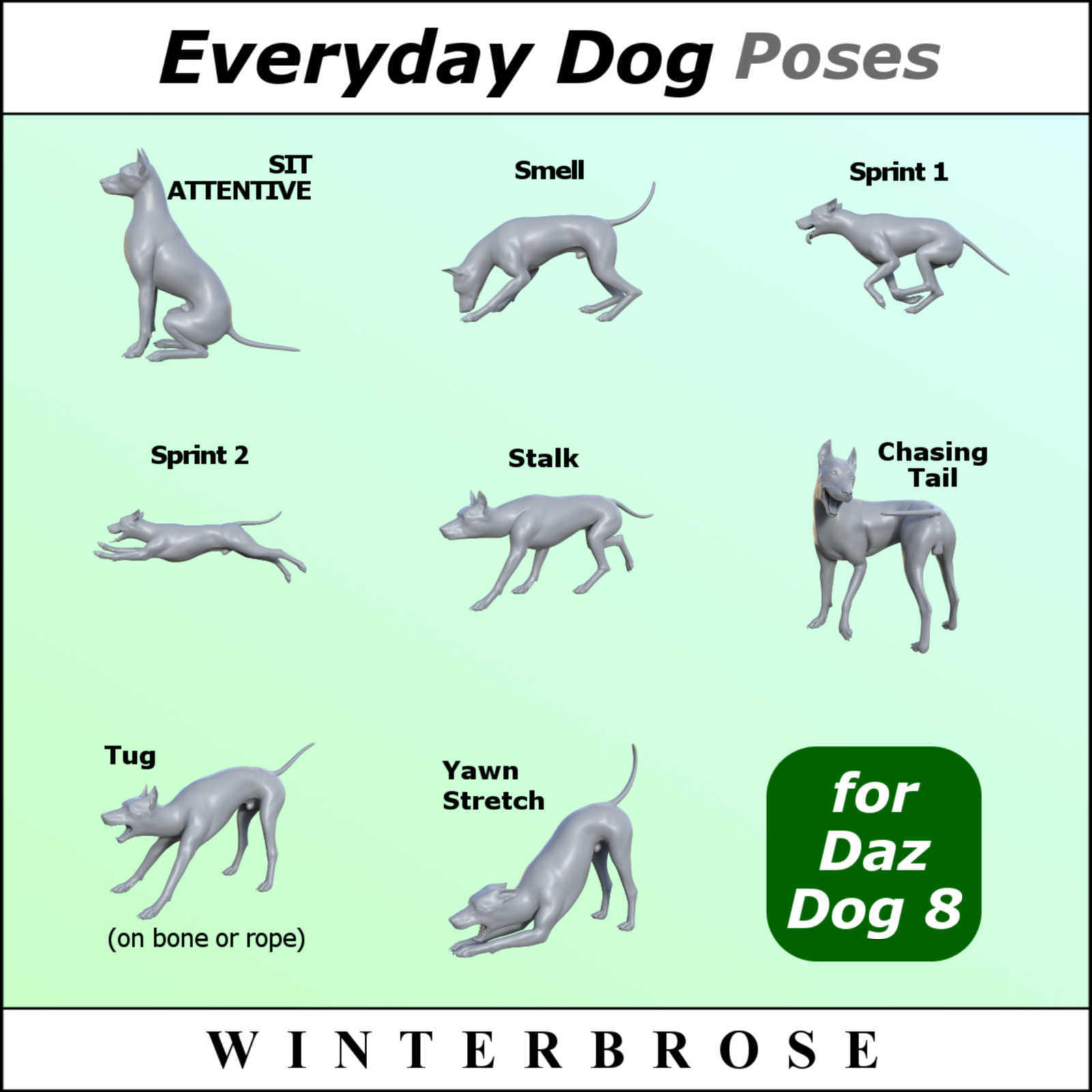 EVERYDAY DOG Poses for Daz Dog 8 in Daz Studio by N/A