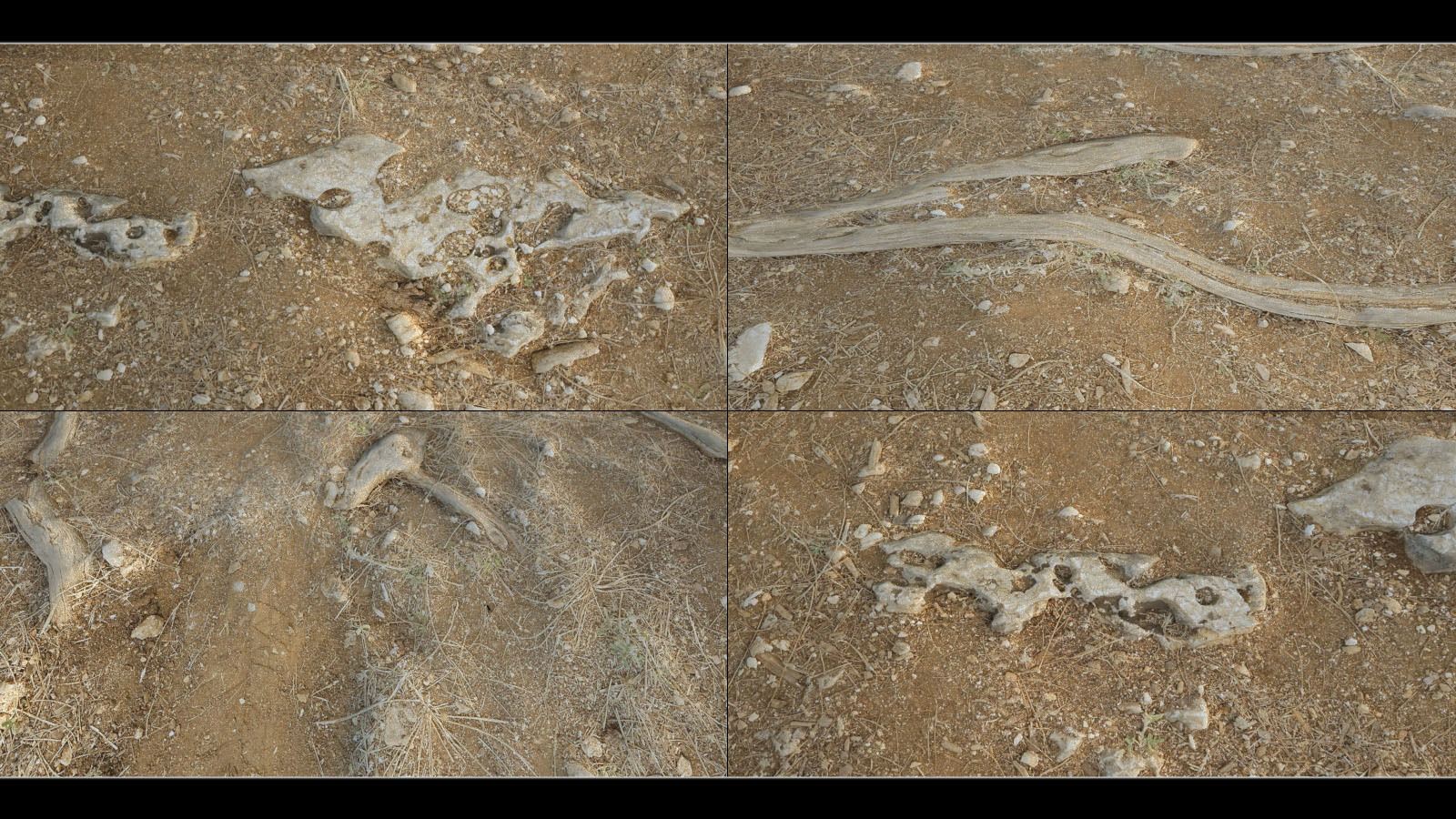 Panoramic Texture Resource: Alonaki Dirt by N/A