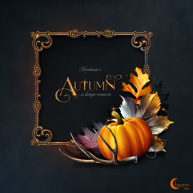 Moonbeam's Autumn by N/A