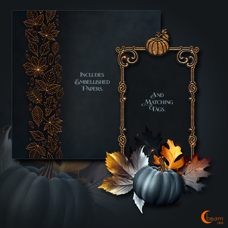 Moonbeam's Autumn by N/A