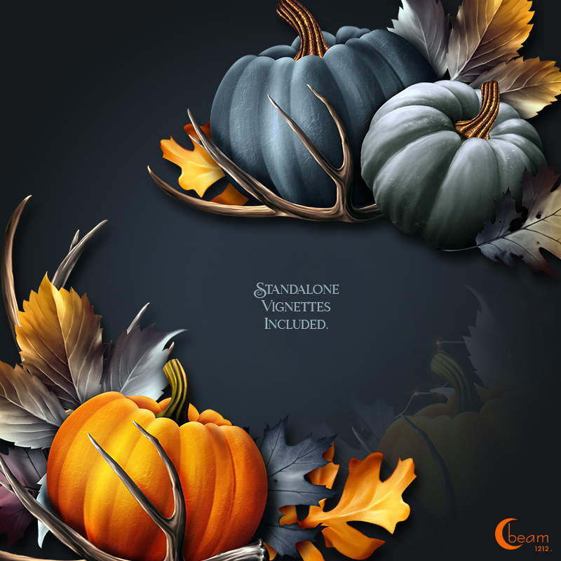 Moonbeam's Autumn by N/A