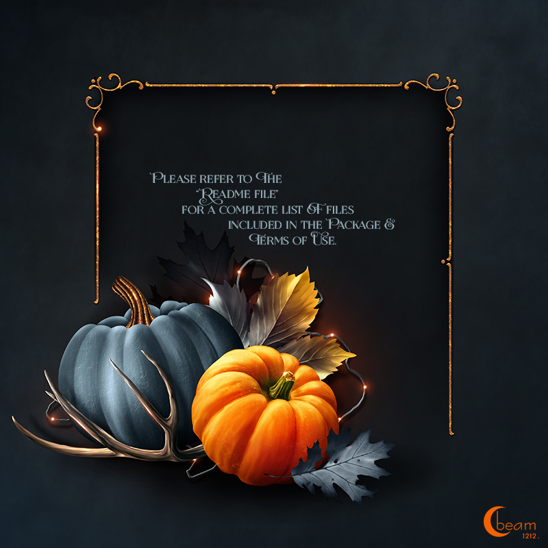 Moonbeam's Autumn by N/A