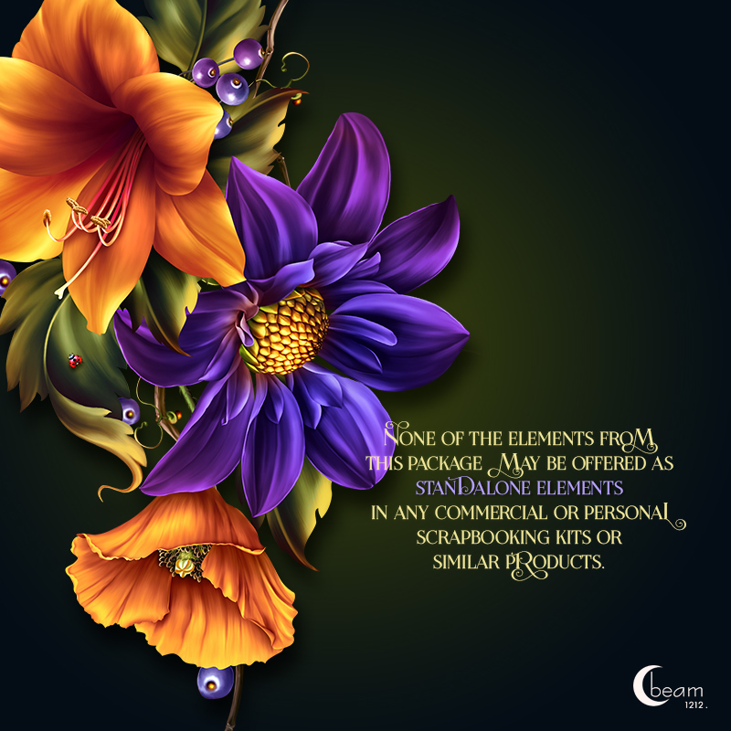 Moonbeam's Autumn Garden by N/A
