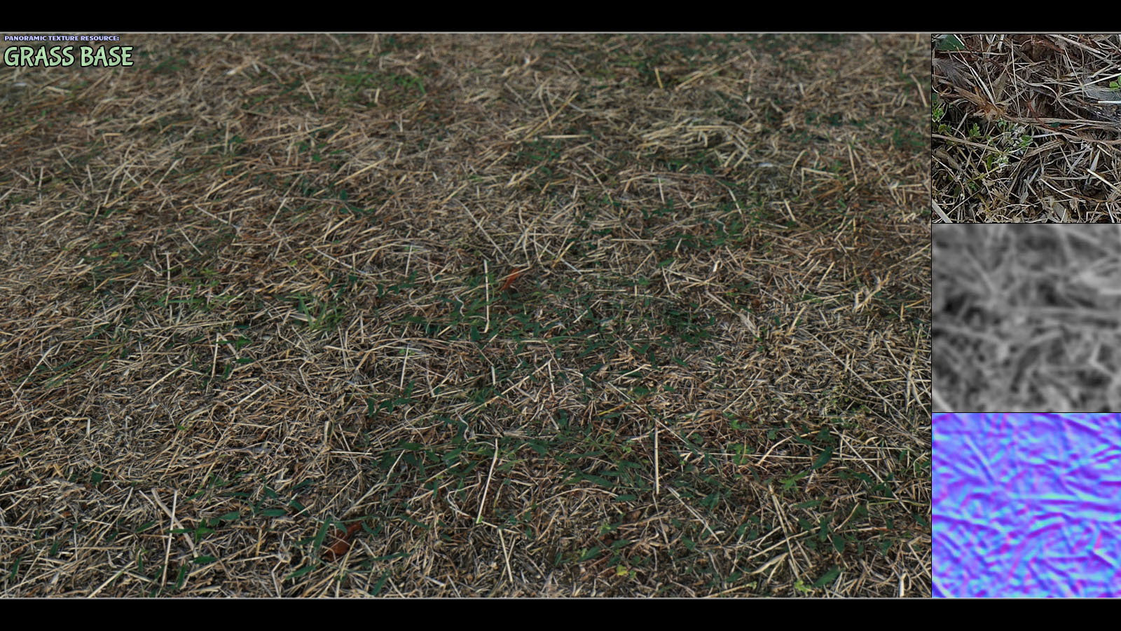 Panoramic Texture Resource: Grass Base by N/A