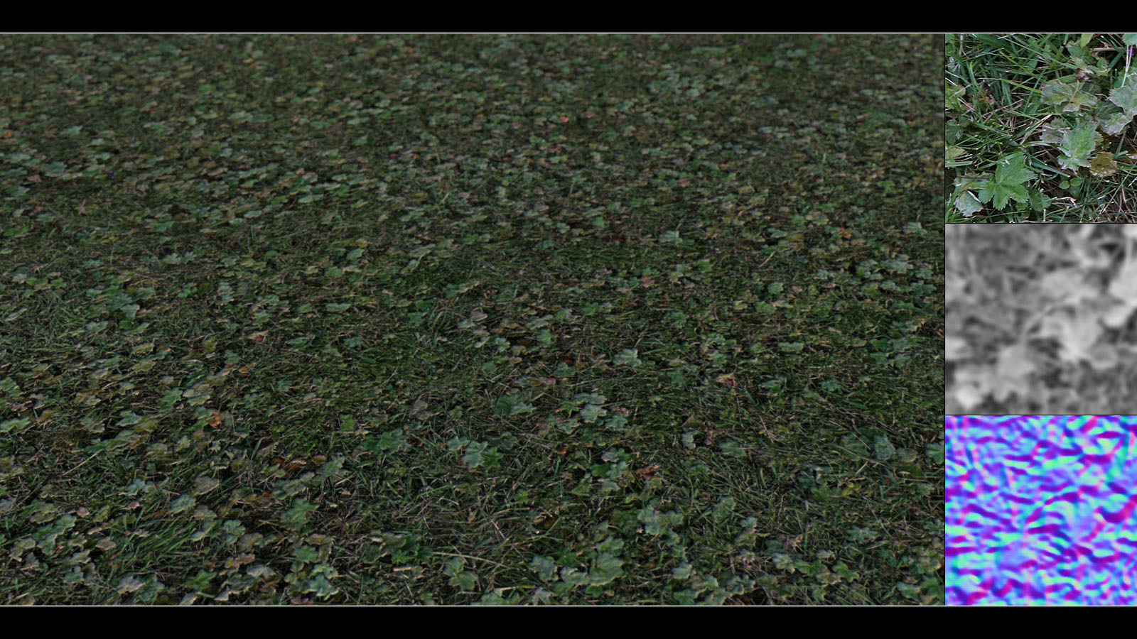 Panoramic Texture Resource: Grass Base by N/A