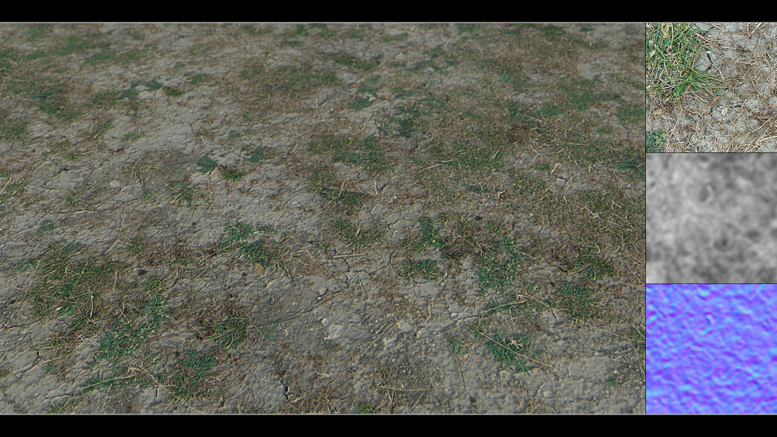 Panoramic Texture Resource: Grass Base by N/A