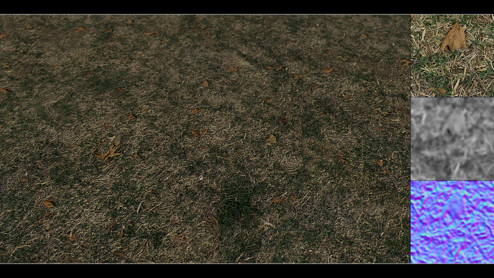 Panoramic Texture Resource: Grass Base by N/A