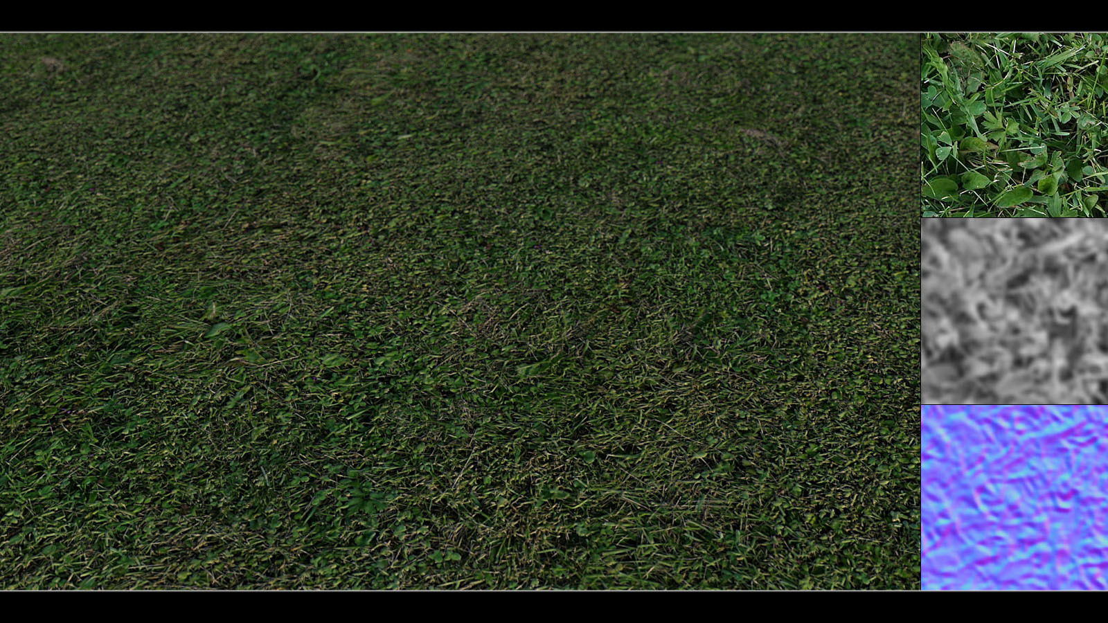 Panoramic Texture Resource: Grass Base by N/A
